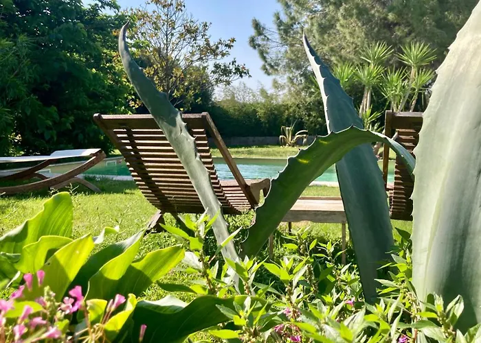 Le Patio, chambres d hôtes pour adultes en Camargue, possibilité de naturisme à la piscine,