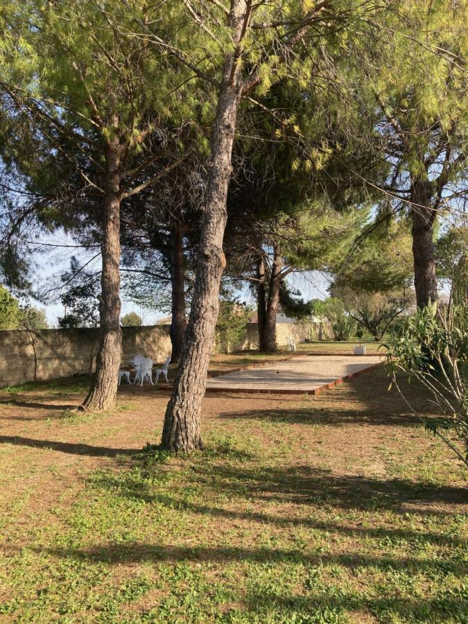Le Patio, D Hotes Pour Adultes En Camargue, Possibilite De Naturisme A La Piscine, Bed & Breakfast Aimargues