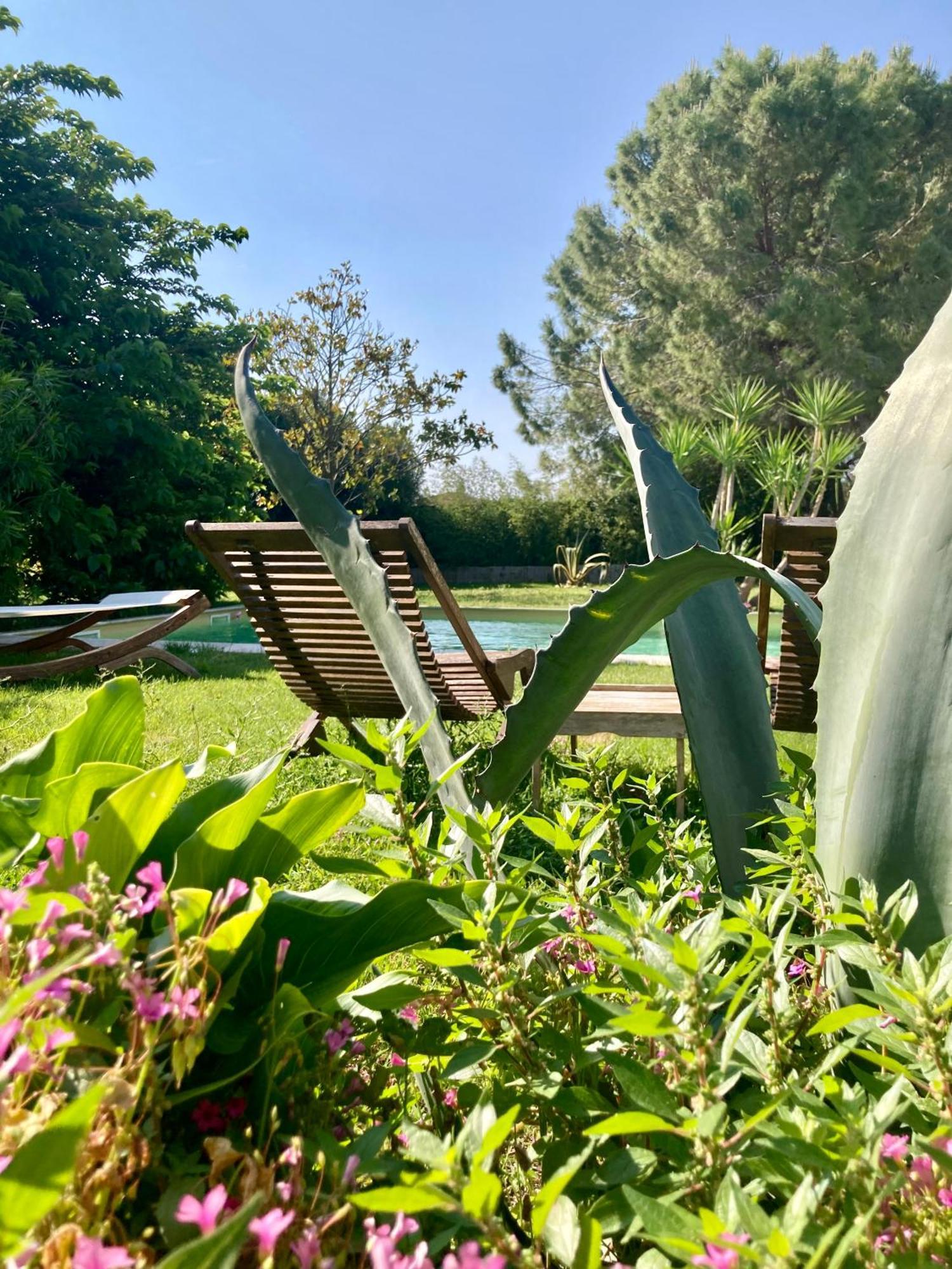 Le Patio, D Hôtes Pour Adultes En Camargue, Possibilité De Naturisme à La Piscine, *